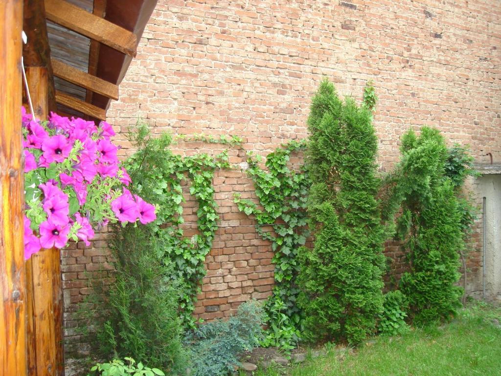 Guesthouse Daniel Oradea Exterior foto